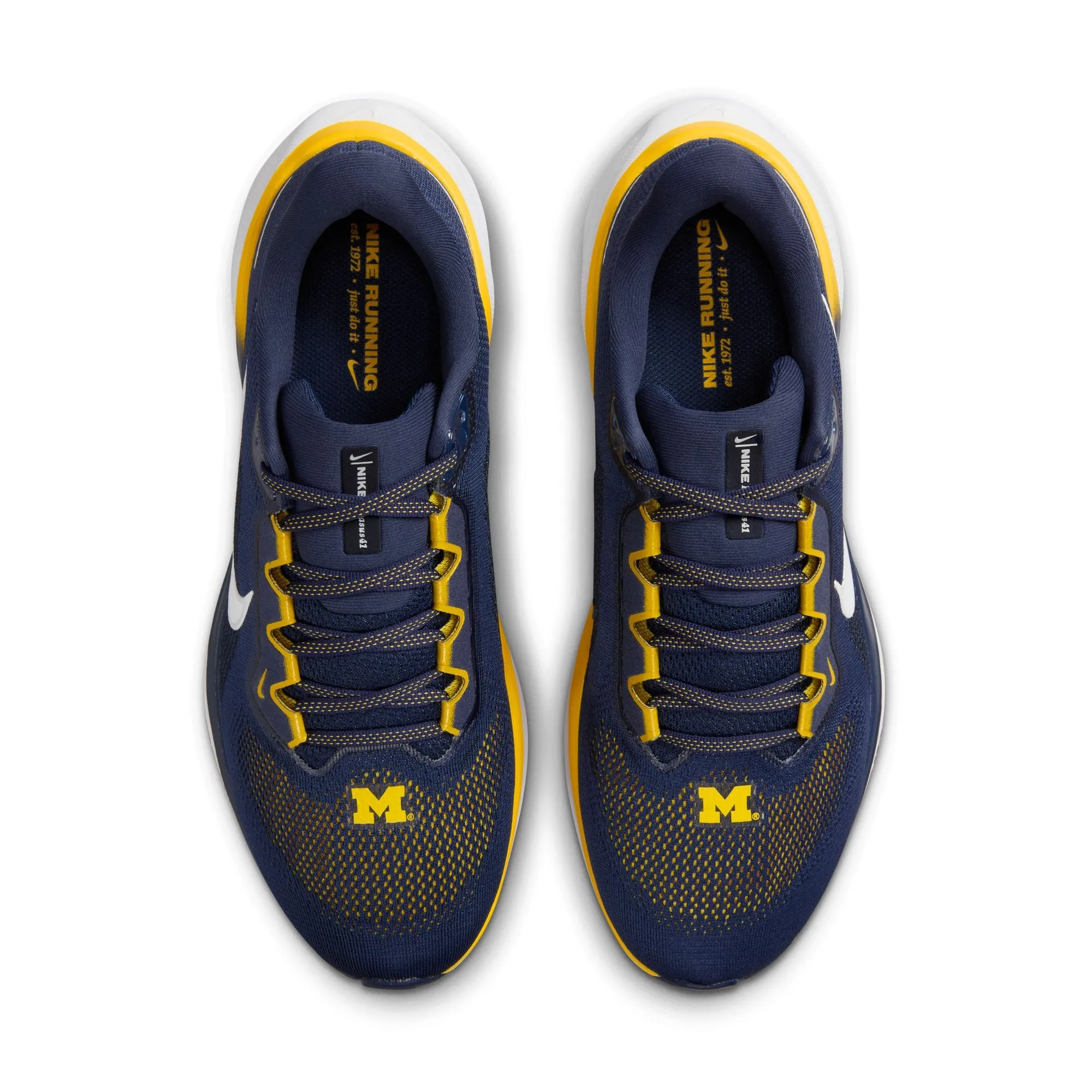 Air Zoom Pegasus 41 Michigan