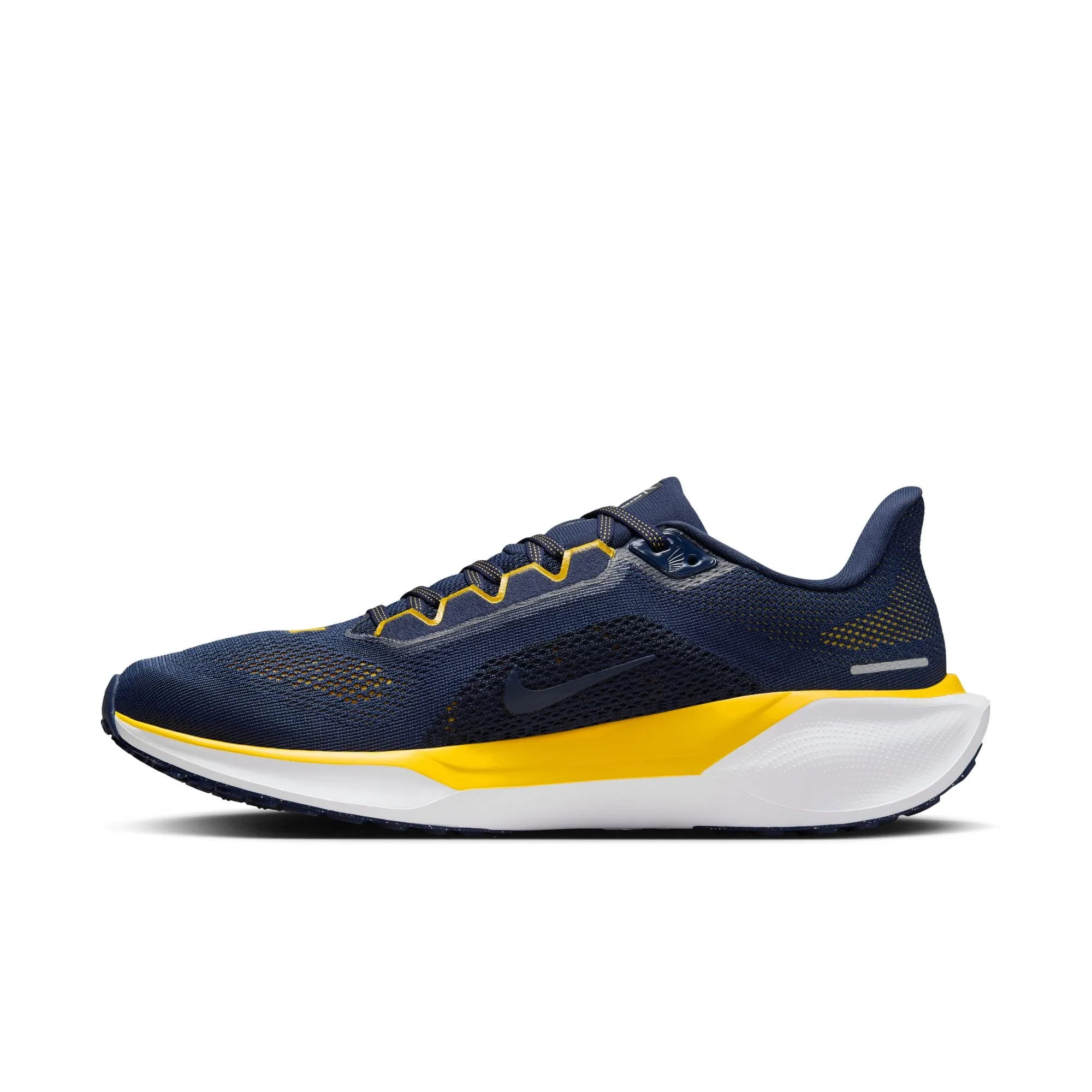 Air Zoom Pegasus 41 Michigan