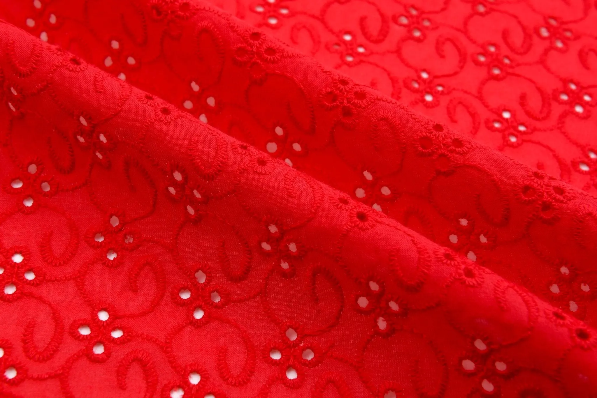 Dyed Pure 100%  Cotton Eyelet  Voil Embroidery Fabric-GK-26545