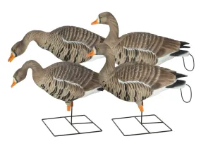 GHG Pro-Grade XD Specklebelly Decoys