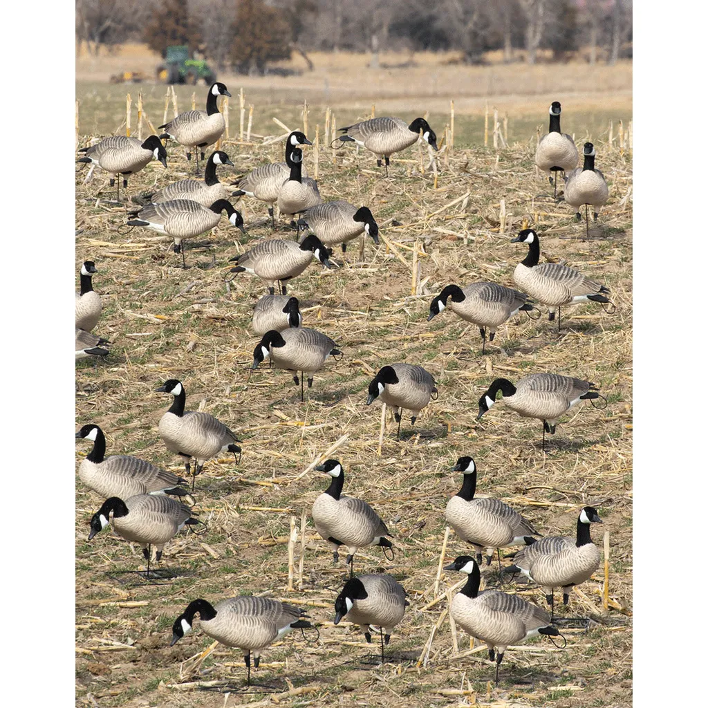 GHG XD Series Full-Body Honkers - Active (4-Pack)