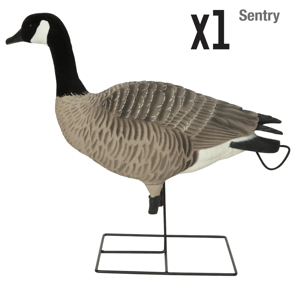 GHG XD Series Full-Body Honkers - Active (4-Pack)