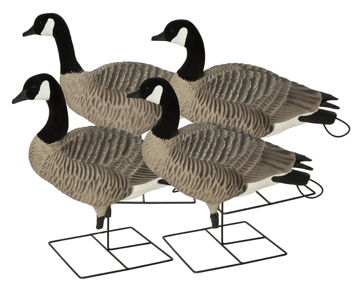 GHG XD Series Full-Body Honkers - Active (4-Pack)