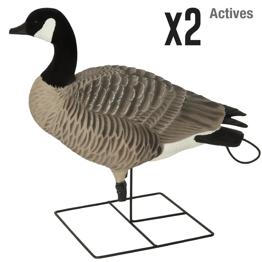 GHG XD Series Full-Body Honkers - Active (4-Pack)