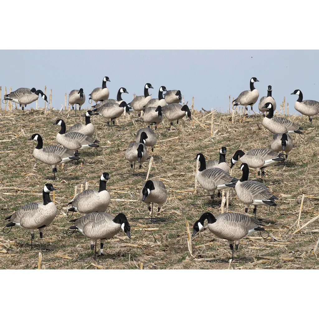 GHG XD Series Full-Body Honkers - Active (4-Pack)