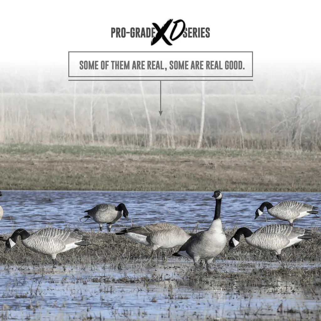 GHG XD Series Full-Body Honkers - Active (4-Pack)