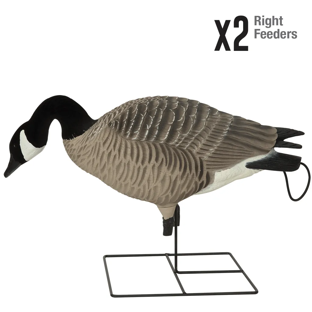 GHG XD Series Full-Body Honkers - Feeder 4 Pack