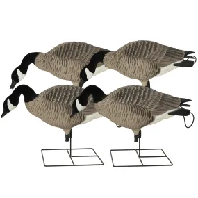 GHG XD Series Full-Body Honkers - Feeder 4 Pack