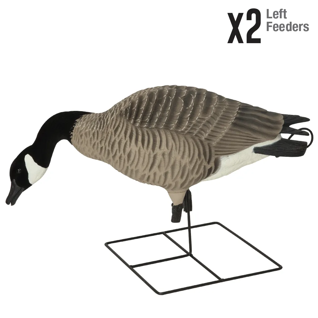 GHG XD Series Full-Body Honkers - Feeder 4 Pack