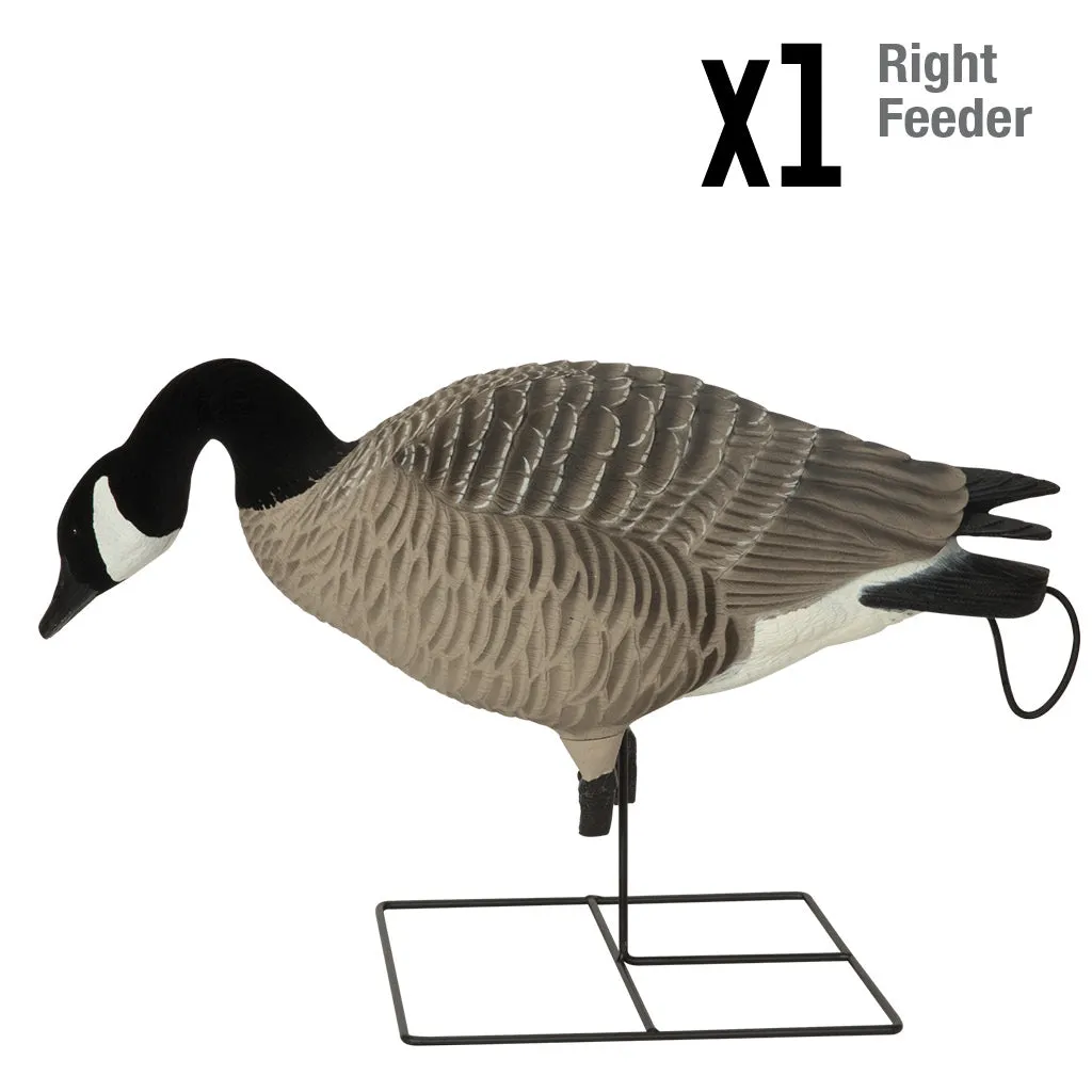 GHG XD Series Full-Body Honkers - Harvester (4-Pack)