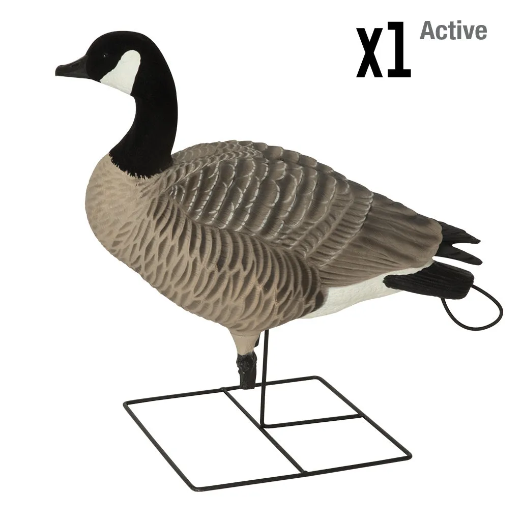 GHG XD Series Full-Body Honkers - Harvester (4-Pack)