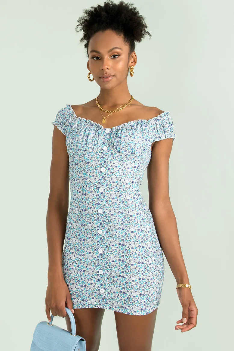 Kiki Dress / Blue Floral