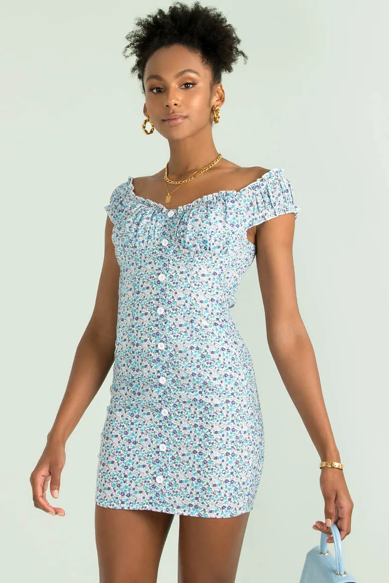 Kiki Dress / Blue Floral