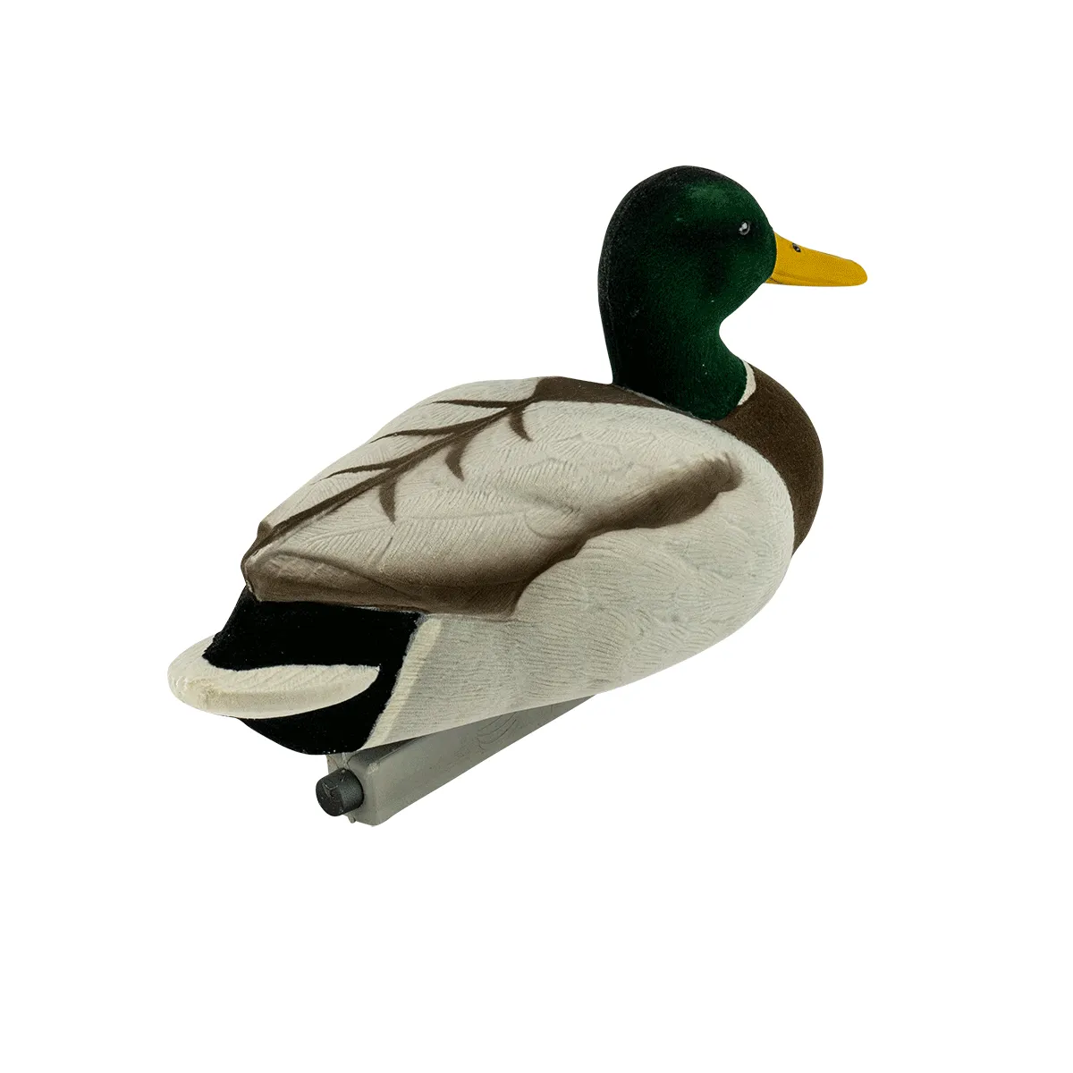 Migration Edition Mallard Drake Combo Pack - Fully Flocked