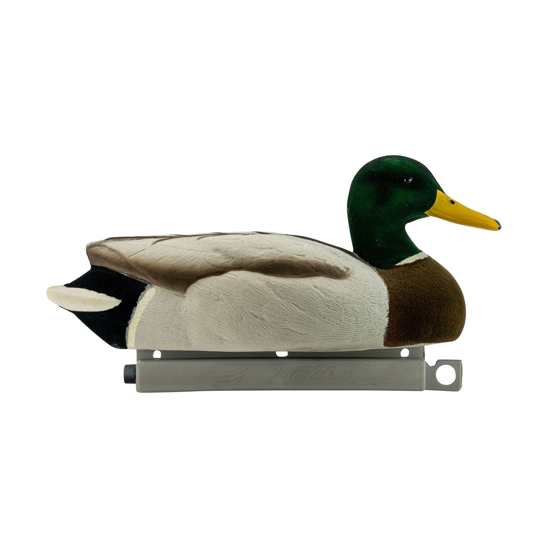 Migration Edition Mallard Drake Combo Pack - Fully Flocked