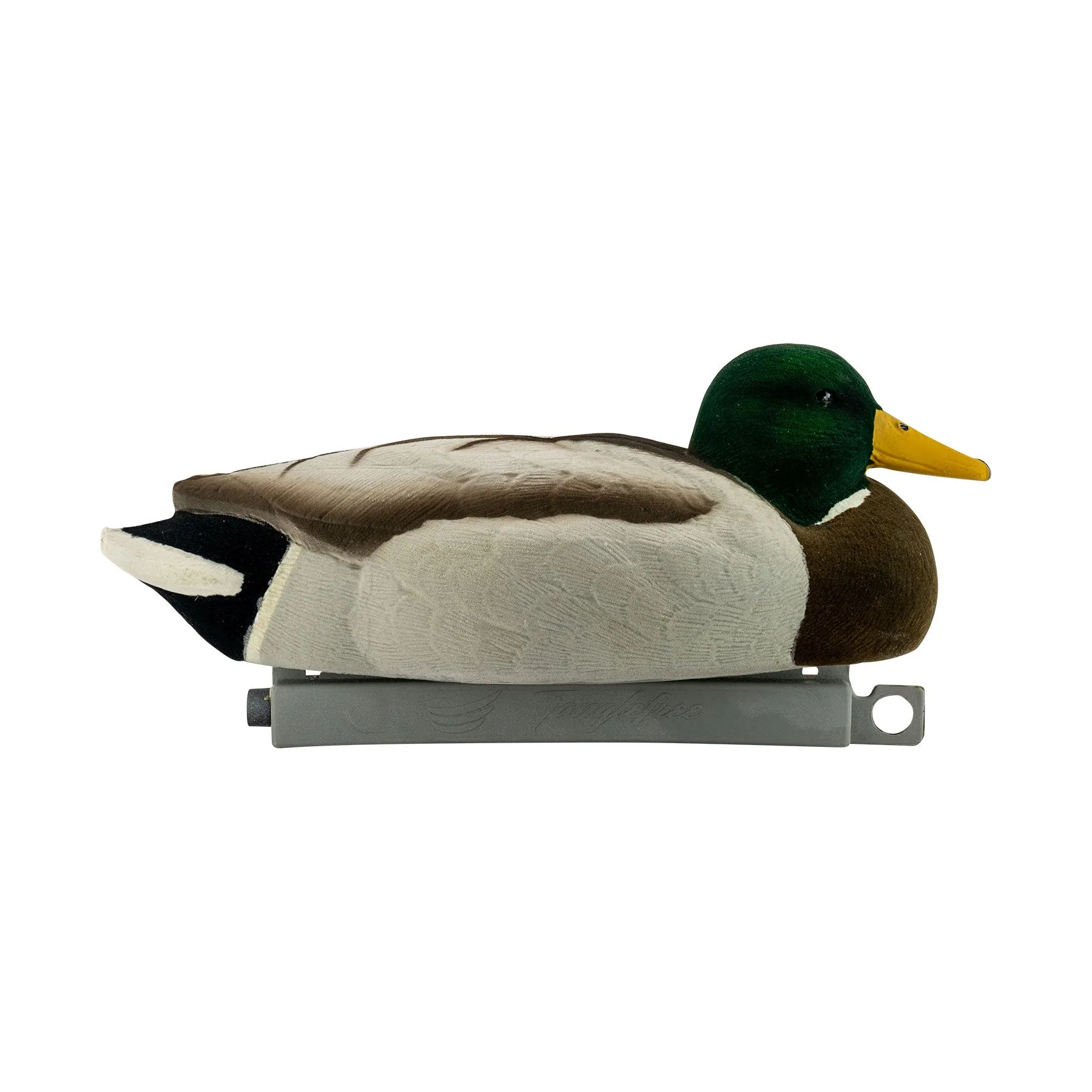 Migration Edition Mallard Drake Combo Pack - Fully Flocked