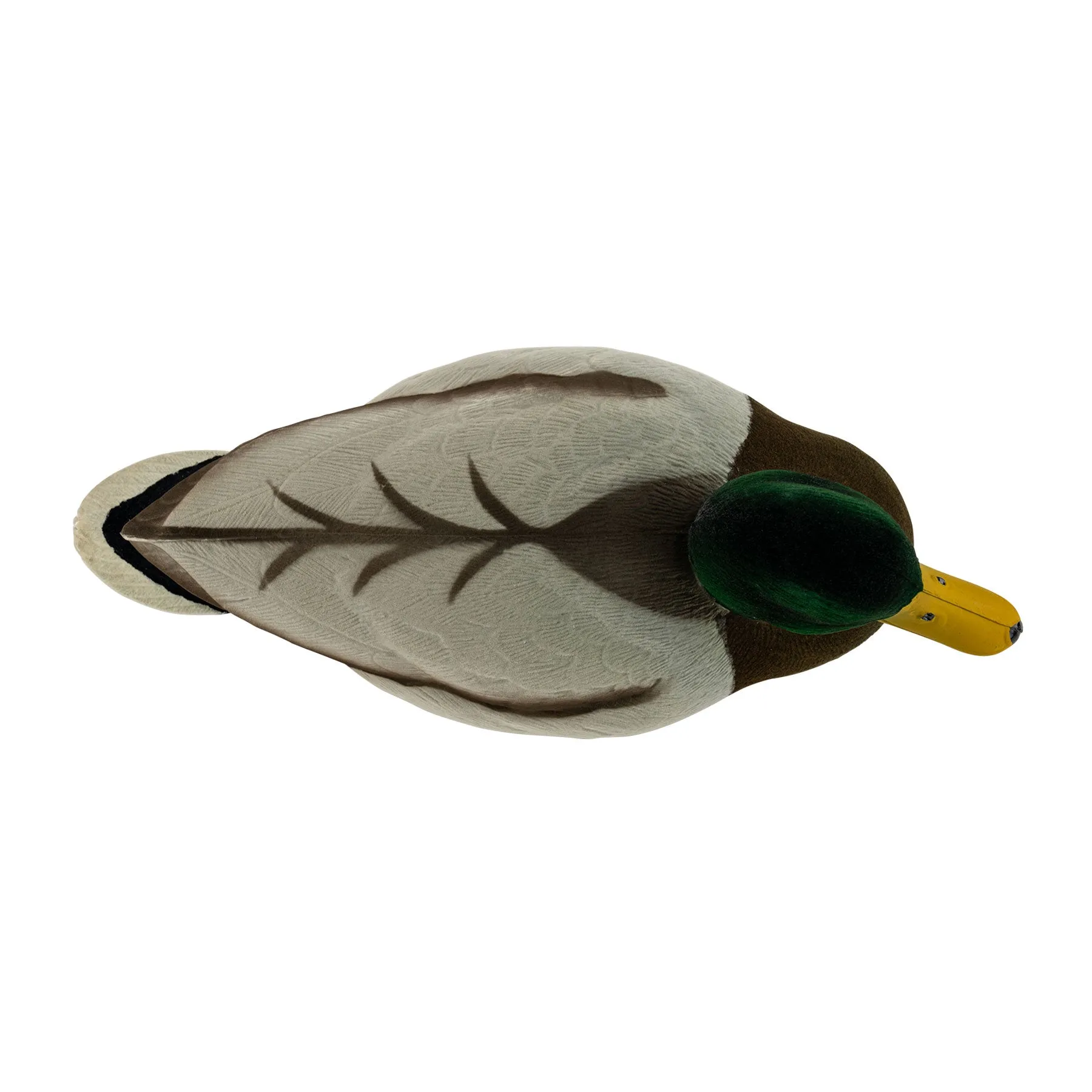 Migration Edition Mallard Drake Combo Pack - Fully Flocked