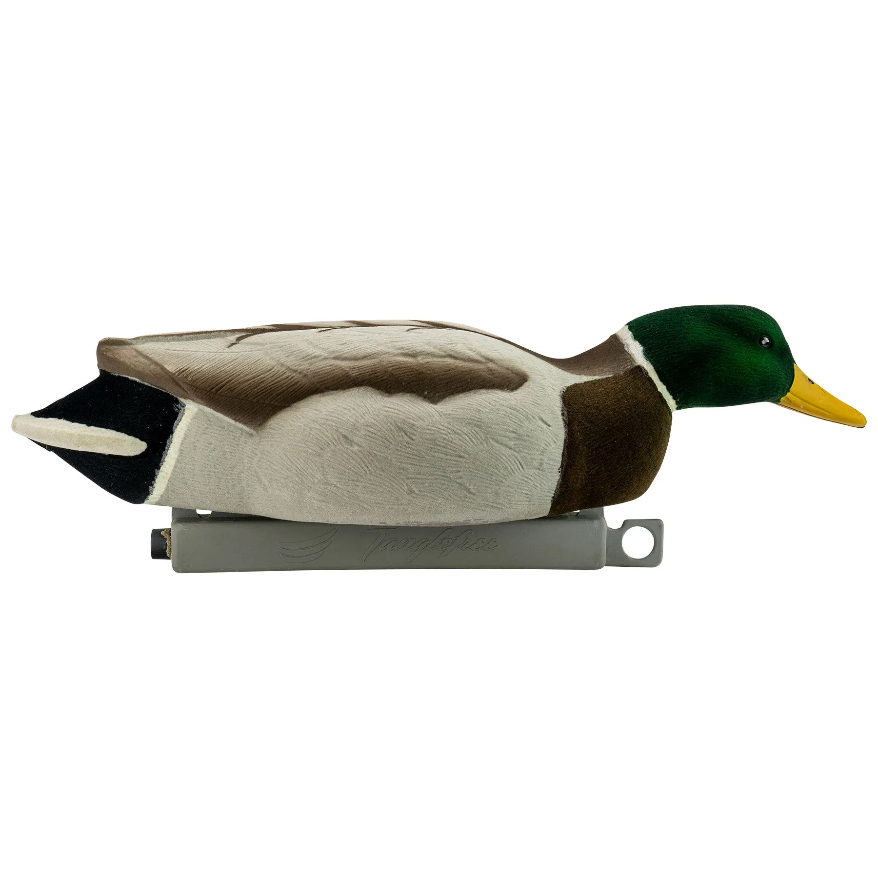 Migration Edition Mallard Drake Combo Pack - Fully Flocked