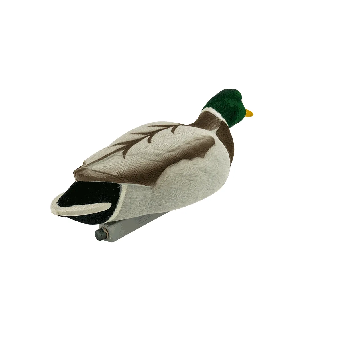 Migration Edition Mallard Drake Combo Pack - Fully Flocked